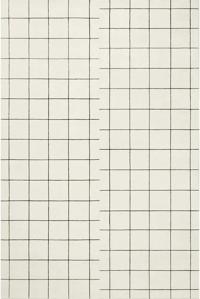 Fine Grid