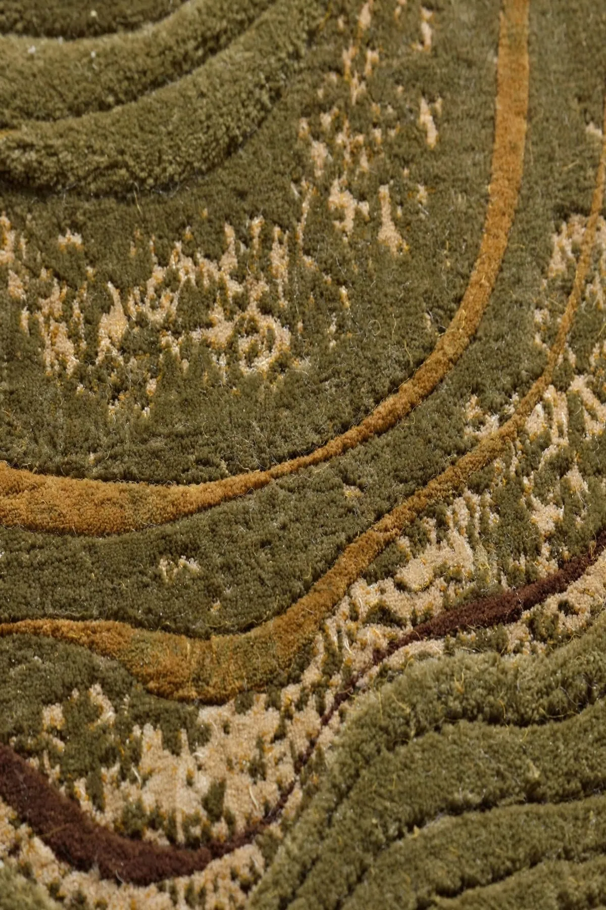 Timber Fossil — view 3